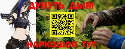 мет Новозыбков