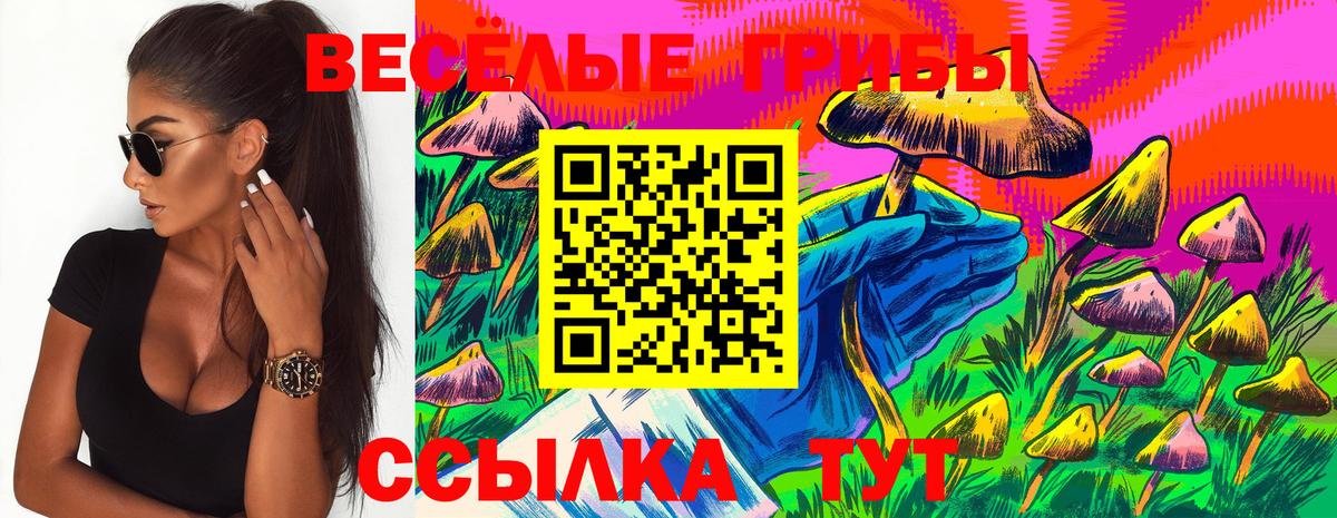 Ступино  Галлюциногенные грибы мицелий  Псилоцибиновые грибы Magic Shrooms  Вход с VPN 